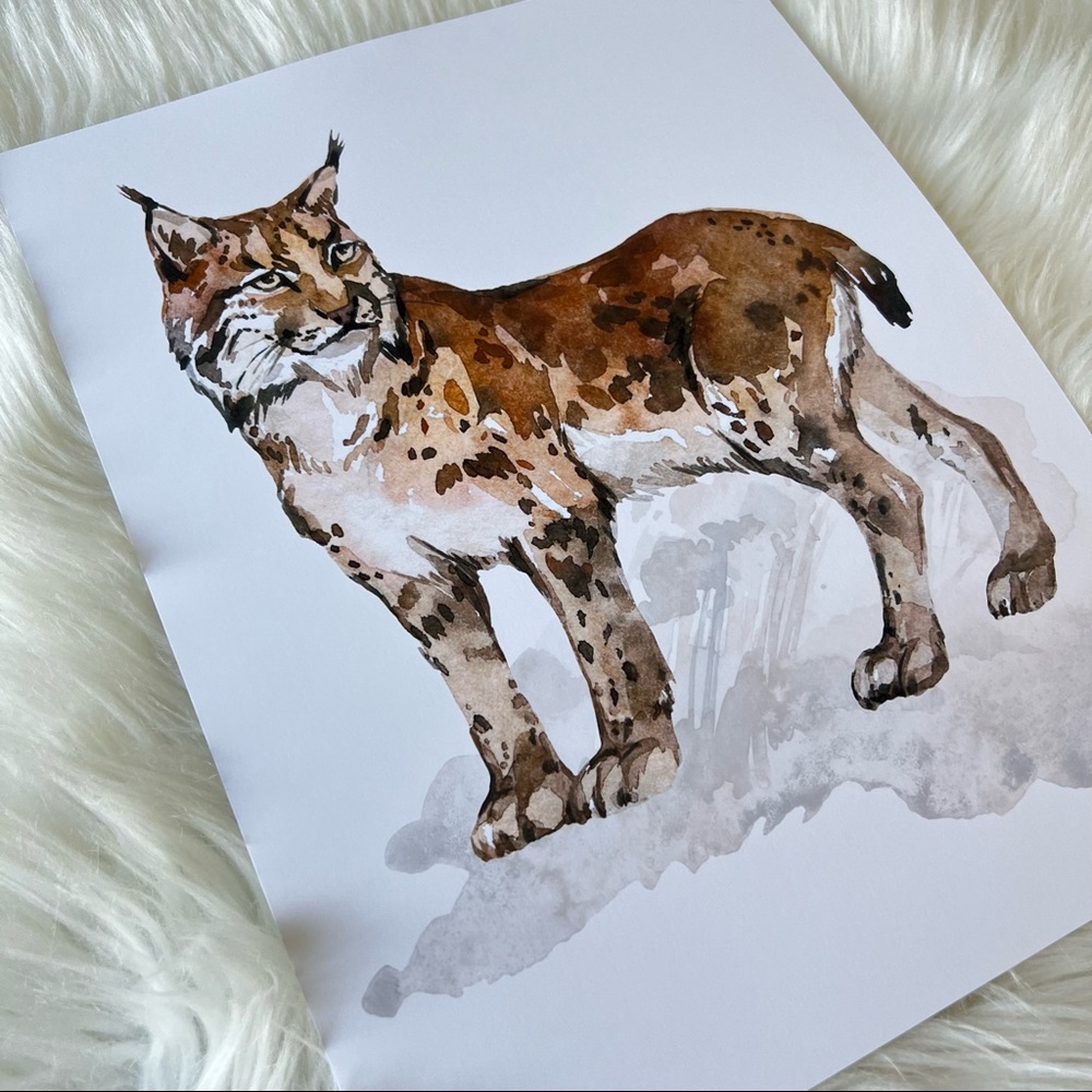 Wall Art Watercolor Lynx Bobcat Illustration Print Poster Unframed - Picture 16 of 17